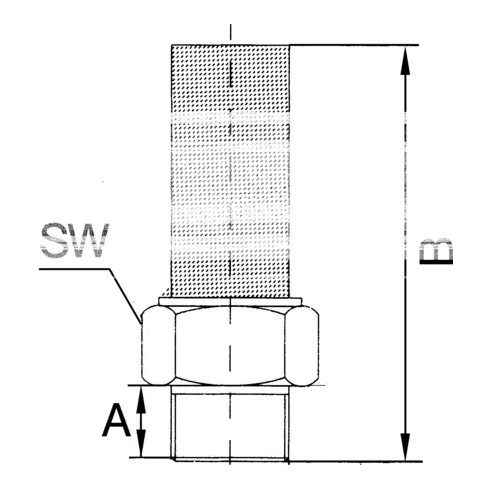 Riegler Schalldämpfer, Edelstahl 1.4401, G 3/8, SW 19