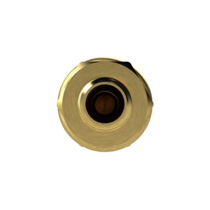 Riegler Schnellverschlusskupplung NW 7,2, Messing blank, G 1/2 AG