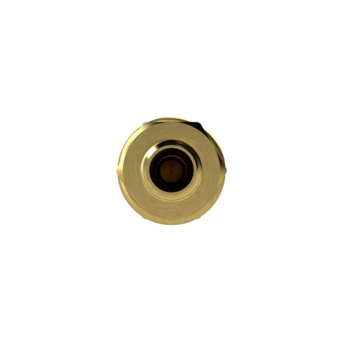 Riegler Schnellverschlusskupplung NW 7,2, Messing blank, G 1/2 AG