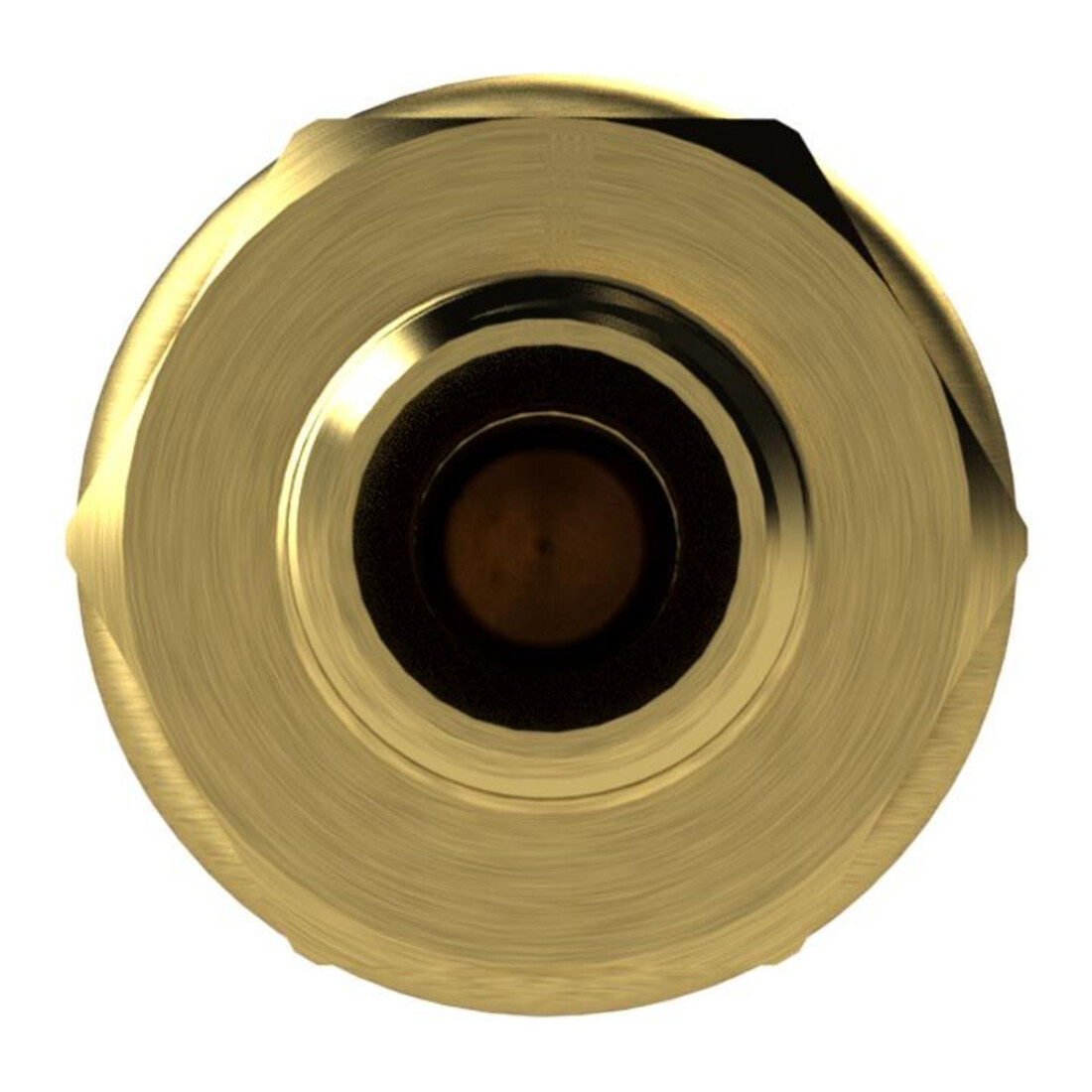 Riegler Schnellverschlusskupplung NW 7,2, Messing blank, G 1/8 AG