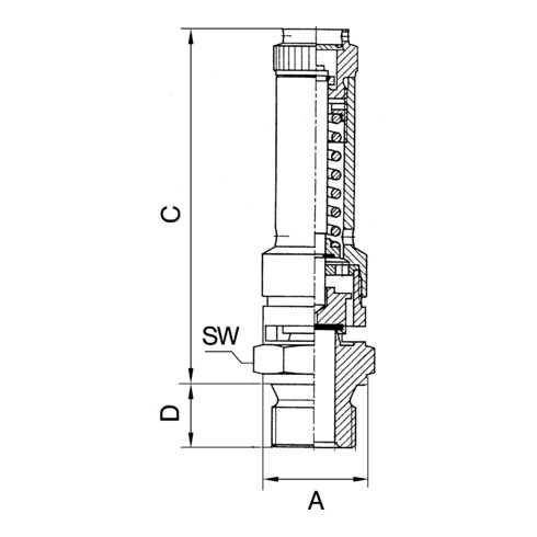 Riegler Sicherheitsventil DN 10, Messing, G 1/2, Ansprechdruck 0,5 bar