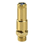 Riegler Sicherheitsventil DN 10, Messing, G 3/4, Ansprechdruck 2,2 bar-1