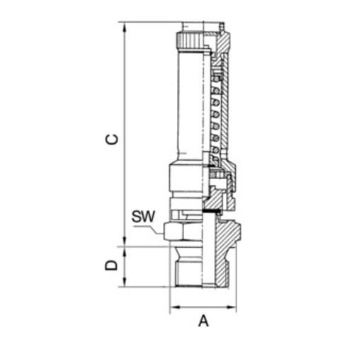 Riegler Sicherheitsventil DN 8, Messing, G 1/2, Ansprechdruck 12 bar