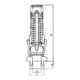 Riegler Sicherheitsventil, Messing, G 1 1/2, Ansprechdruck 2,5 bar-3