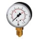 Riegler Standardmano, Kunststoff, G 1/8 unten, 0 - 10,0 bar/145 psi, Ã˜ 40-1