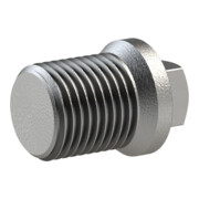 Riegler Stopfen 290, AG, R 2, schwarzer Temperguss feuerverz.-1