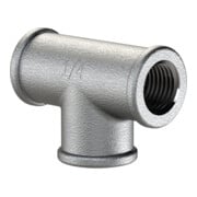 Riegler Té 130, FI/FI/FI, Rp 2, fonte malléable noire galvanisée feu-1