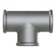 Riegler Té 130, FI/FI/FI, Rp 2, fonte malléable noire galvanisée feu
