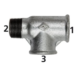 Riegler Té 134, FI/FI/ME, Rp/Rp/R 1, fonte malléable noire galvanisée
