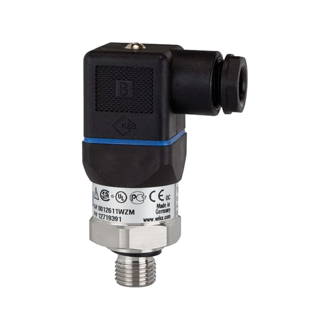 Riegler Transmetteur de pression Plage 0 - 60,0 bar, G 1/4, acier inoxydable 1.4404