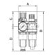 Riegler Unité d'entretien 2 pcs « Standard-mini », réservoir PC, BG 0, G 1/4