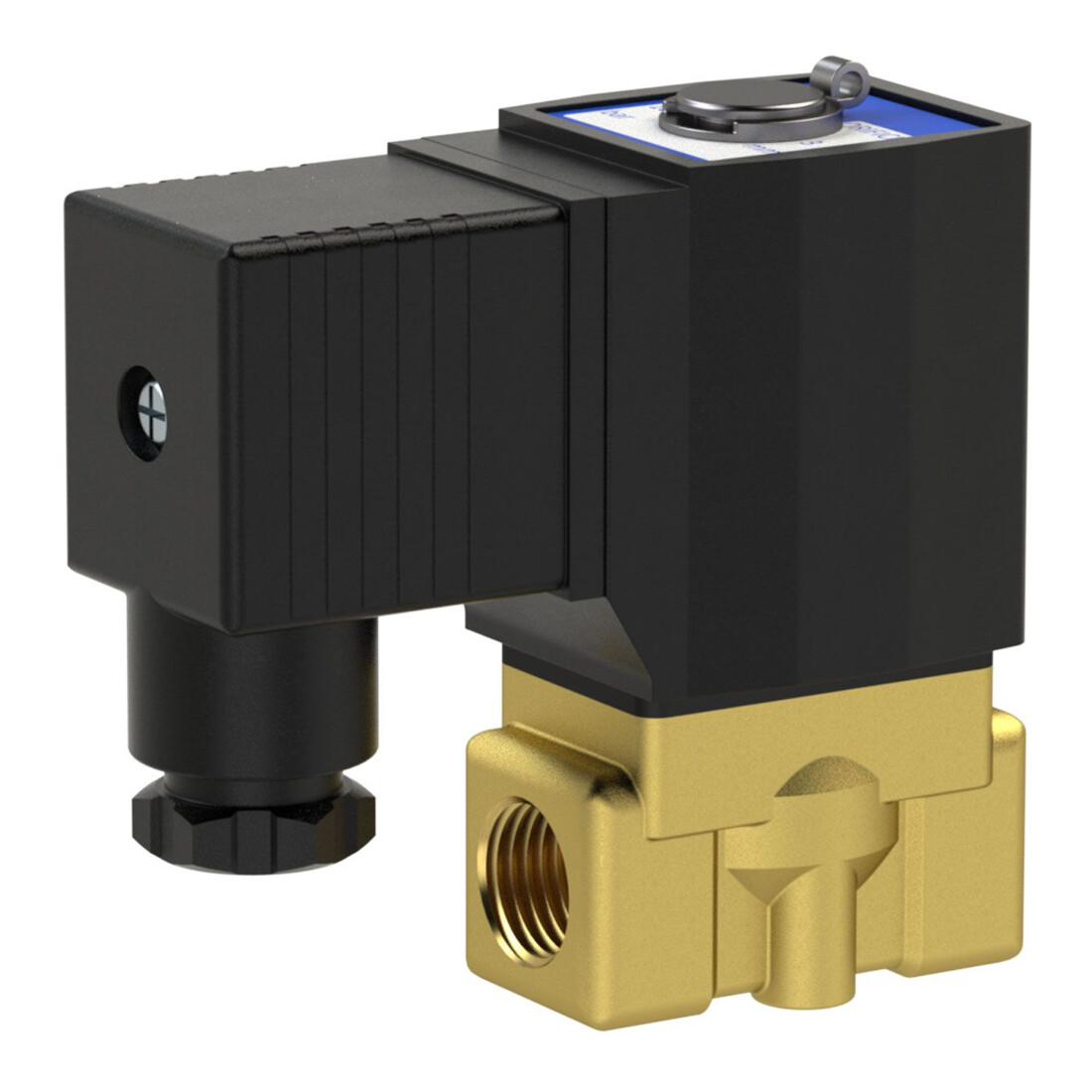 Riegler Vanne 2/2 voies MV, MS, NC, directe, 24 V CC, G 1/8, PN 0-10 bar