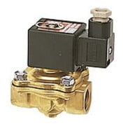 Riegler Vanne 2/2 voies MV, MS, NC, forcée, 24 V DC, Rp 1 1/2, FKM, PN 0-5 bar-1