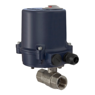 Riegler Vanne 2 voies en laiton, actionneur électrique, 230 V AC, 50 Hz, Rp 1/2
