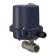 Riegler Vanne 2 voies en laiton, actionneur électrique, 230 V AC, 50 Hz, Rp 1/2-1