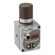 Riegler Vanne proportionnelle »sentronic D«, 24 V CC, G 3/8, DN 8-1