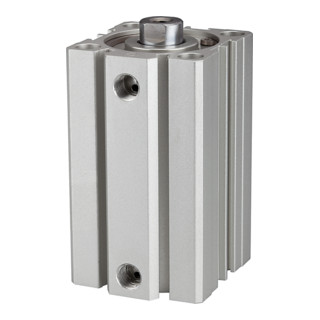 Riegler Vérin à course courte « ACQ » double effet, Ø piston 32, course 80, G 1/8