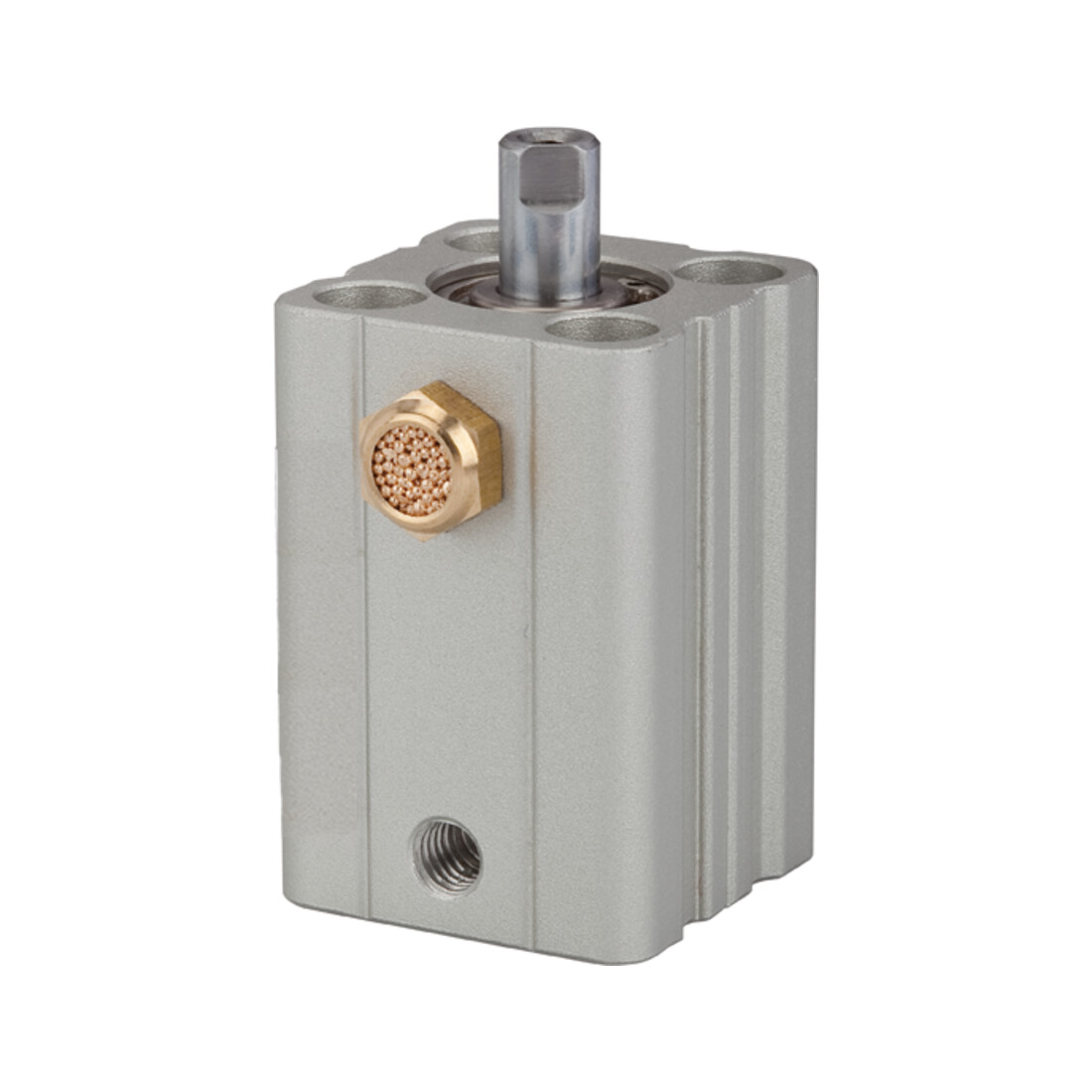 Riegler Vérin à course courte »ASQ« simple effet, Ø piston 12, course 5, M5x0,8