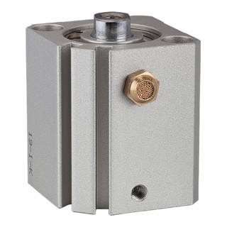 Riegler Vérin à course courte »ASQ« simple effet, Ø piston 25, course 5, M5x0,8