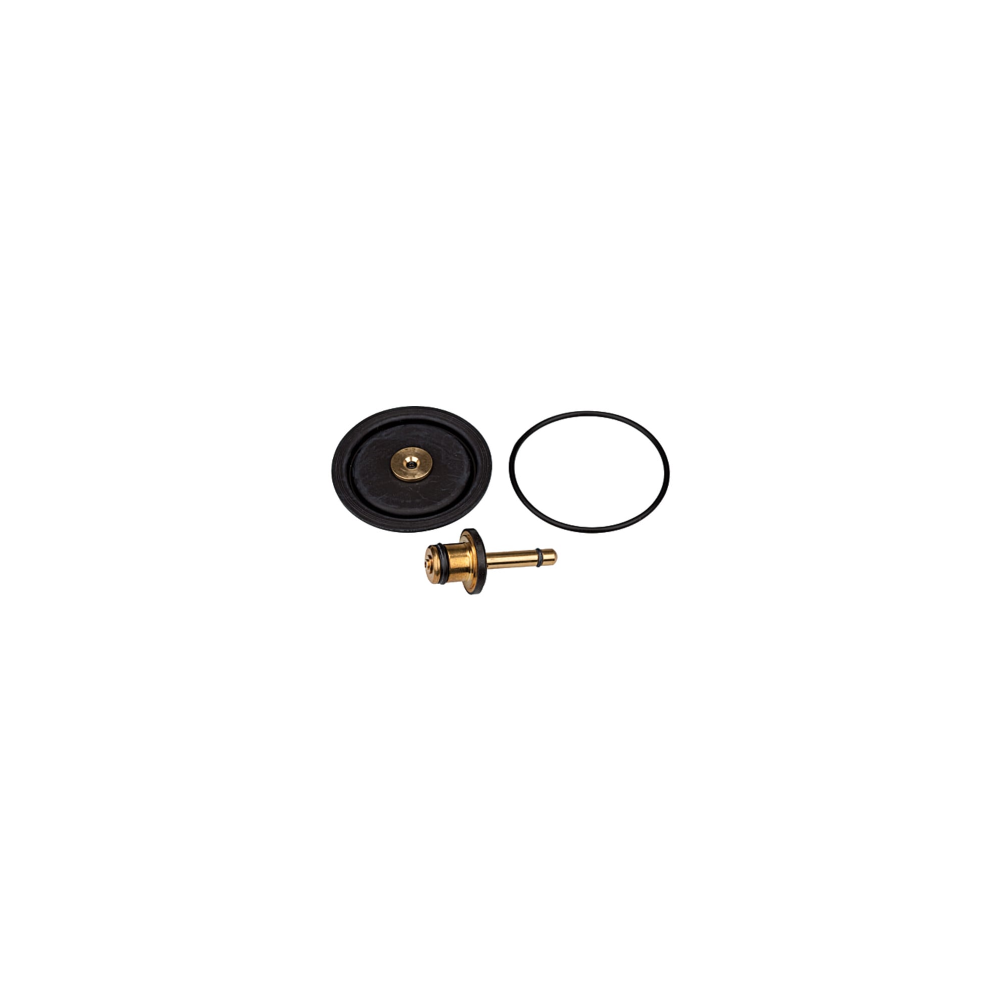 Riegler Verschleißteilesatz inkl. Membrane, Ventilkegel und O-Ring 50x2