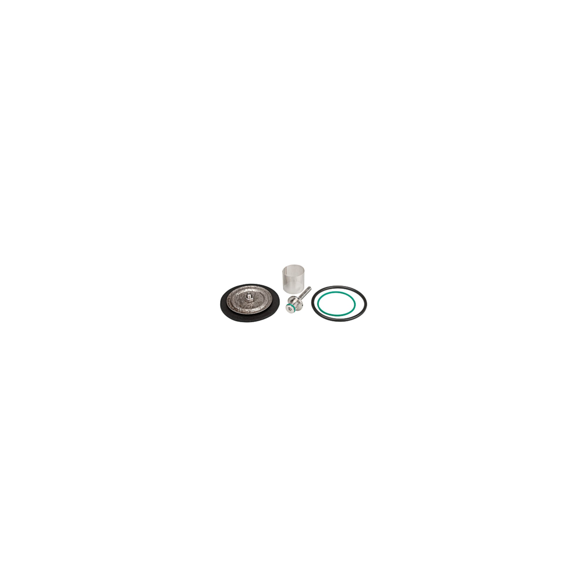 Riegler Verschleißteilesatz mit PTFE-Membrane, G 1/2