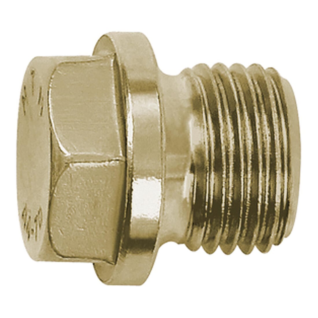 Riegler Verschlussschraube, Außensechskant, Bund, G 3/4, SW 24, ES 1.4571