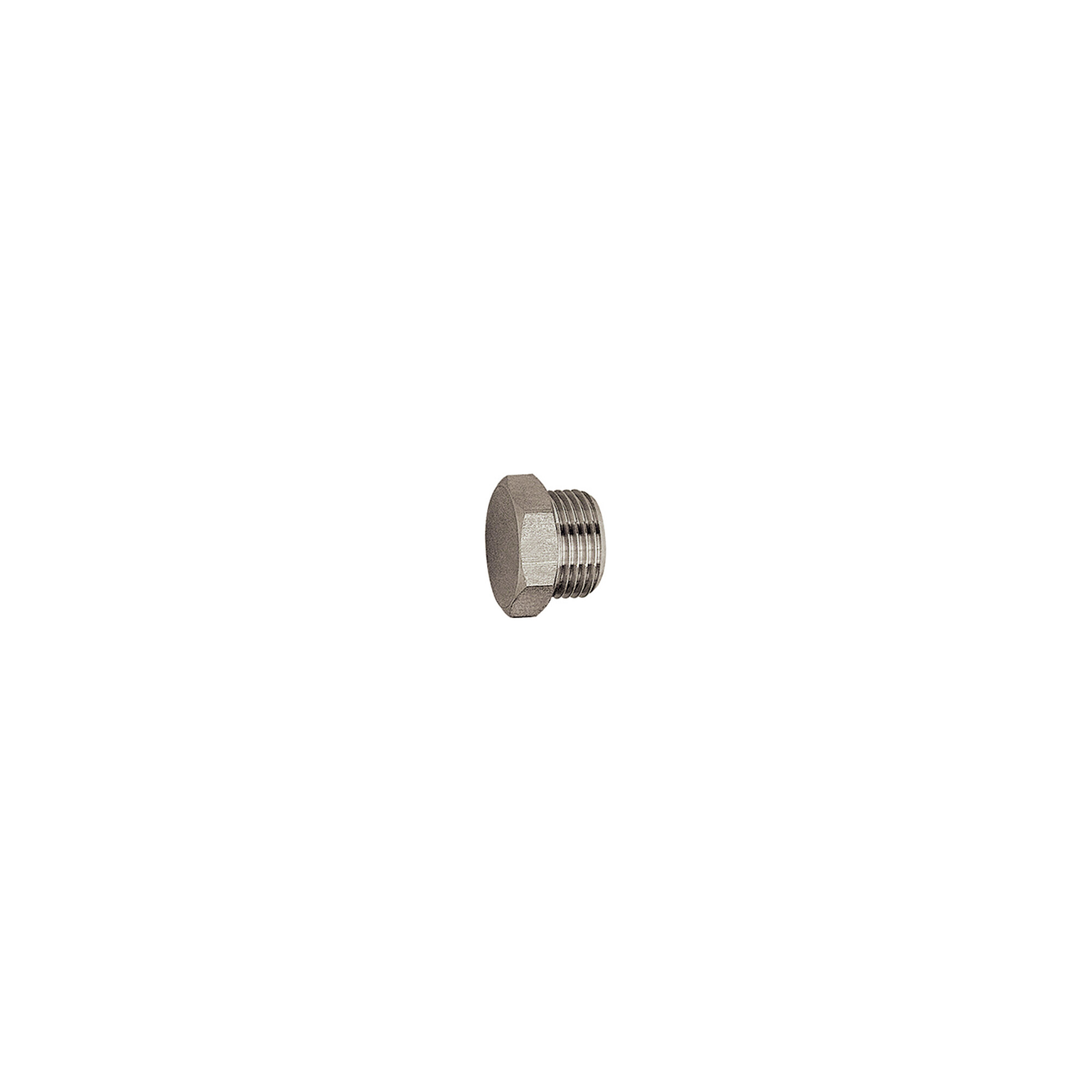 Riegler Verschlussschraube, Außensechskant, G 1/8, SW 13, ES 1.4571