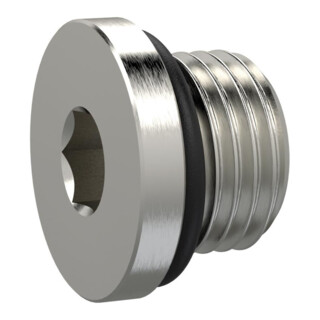 Riegler Verschlussschraube, Innensechskant 2,5 mm, M5, NBR O-Ring, MSN