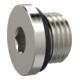 Riegler Verschlussschraube, Innensechskant 6 mm, G 1/4, NBR O-Ring, MSN-1