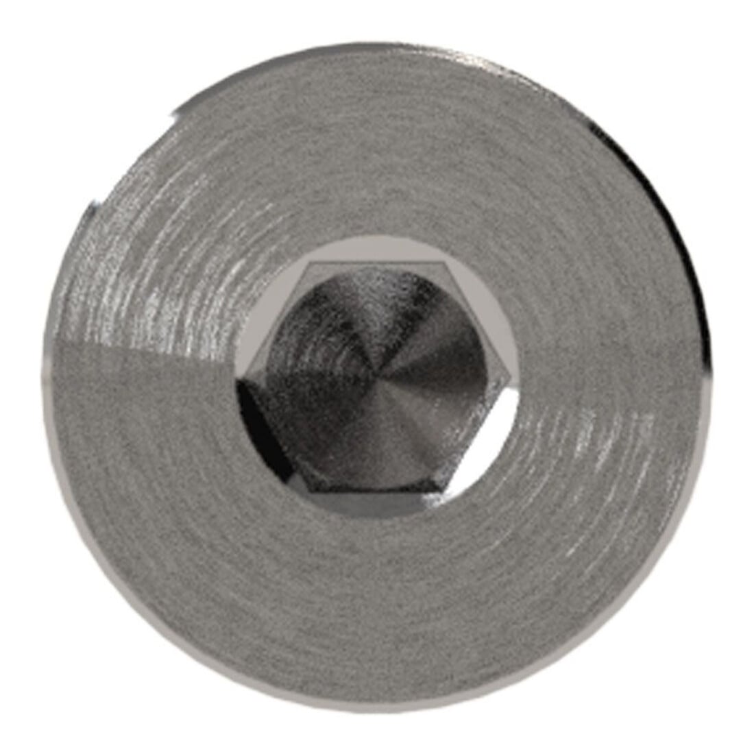 Riegler Verschlussschraube, Innensechskant, Bund, G 1/4, SW 6, ES 1.4571