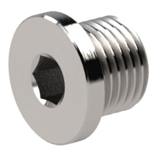 Riegler Verschlussschraube, Innensechskant, Bund, G 1/8, SW 5, ES 1.4571