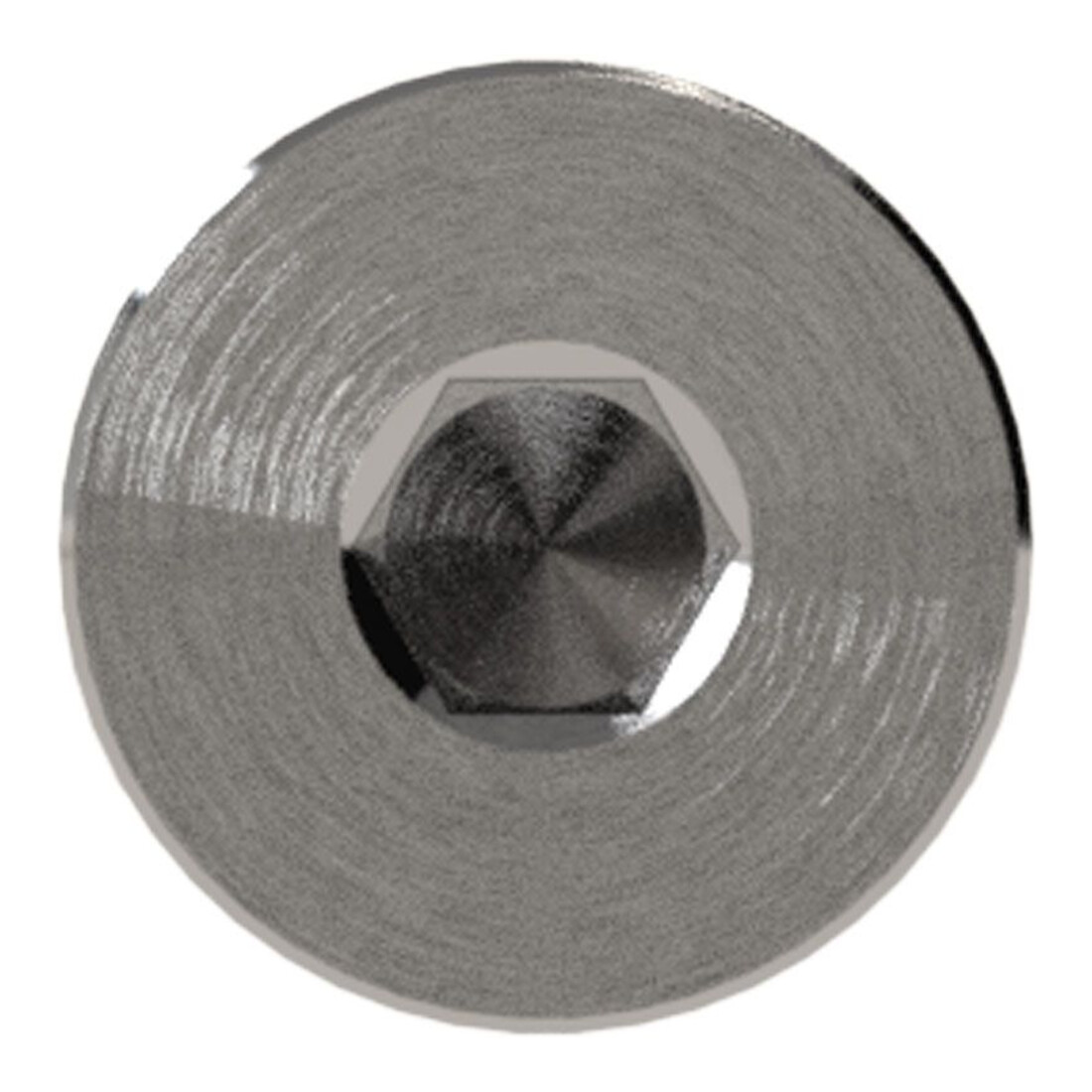 Riegler Verschlussschraube, Innensechskant, Bund, G 1/8, SW 5, ES 1.4571