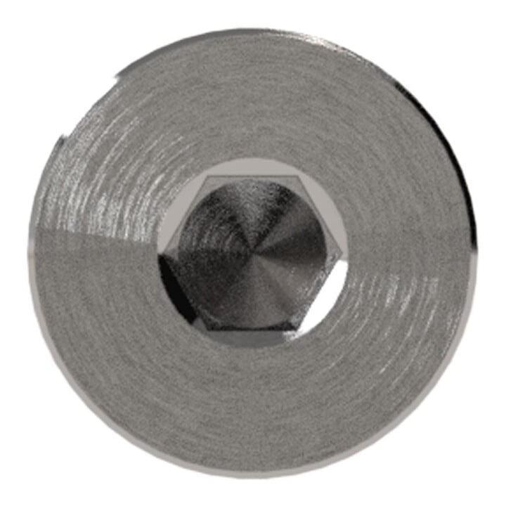 Riegler Verschlussschraube, Innensechskant, Bund, G 1, SW 17, ES 1.4571