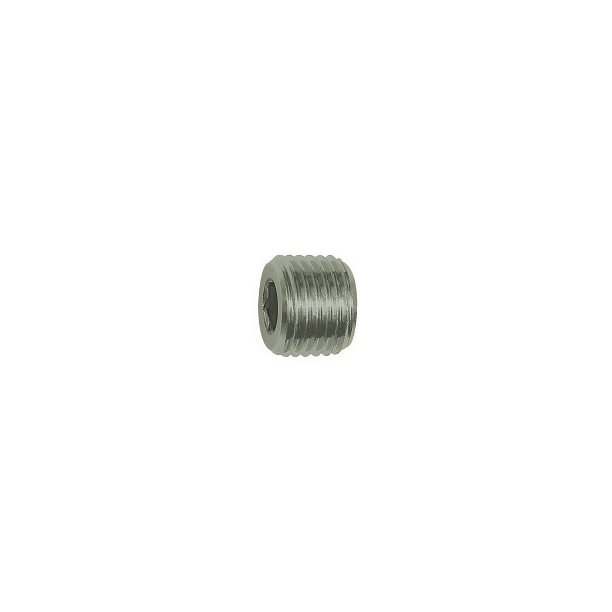 Riegler Verschlussschraube, Innensechskant, ohne Bund, R 3/4, ES 1.4571