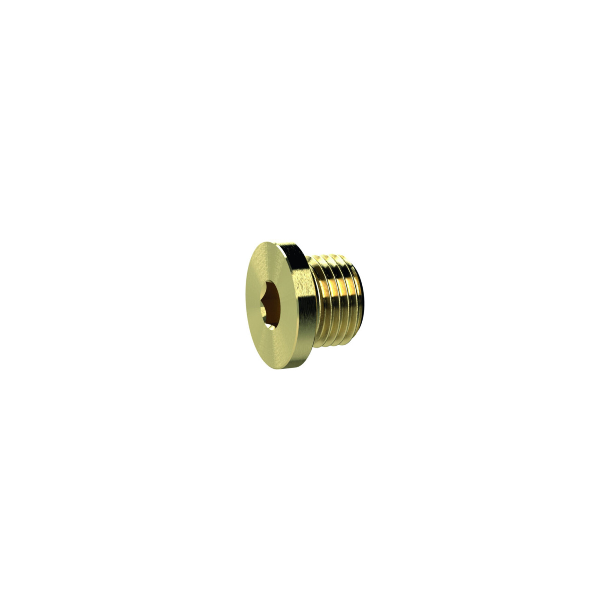 Riegler Verschlussschraube, Innensechskant und Bund, G 1/4, SW 6, MS