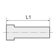 Riegler Verschlussstecker »value line«, Stutzen 10 mm, Messing vernickelt-3