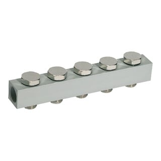 Riegler Versorgungsleiste für Wegeventile, mit 5 Ventilpositionen, G 1/4