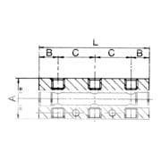 Riegler Verteilerleiste, Abgänge beidseitig, 2 x 1/8, 4 + 4 x M5, Alu-3