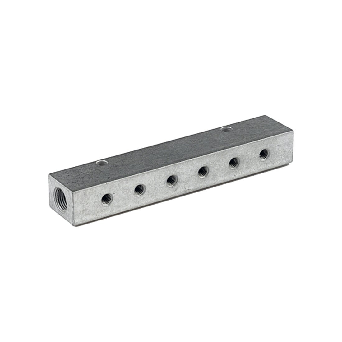 Riegler Verteilerleiste, Abgänge einseitig, Eingang 2x1/8, Ausgang 6xM5