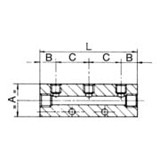 Riegler Verteilerleiste, Abgänge einseitig, Eingang 2x3/8, Ausgang 2x1/4-3