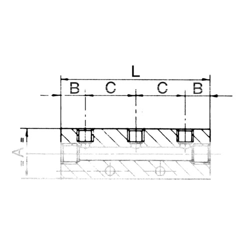 Riegler Verteilerleiste, Abgänge einseitig, Eingang 2x3/8, Ausgang 6x1/4