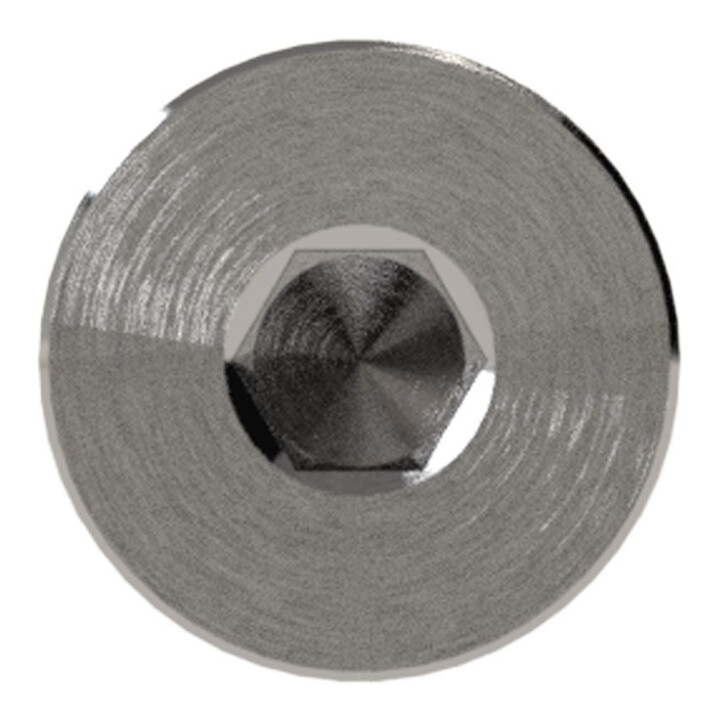 Riegler Vis de fermeture, empreinte hexagonale intérieure, collerette, G 1, SW 17, ES 1.4571