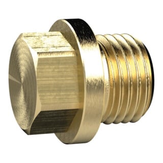 RIEGLER Vis de fermeture en laiton, hexagone externe et collerette