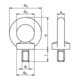 DIN 580/ISO 3266 Ringschraube, Stahl C15, galvanisch verzinkt-4