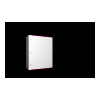 RITTAL Armoire de commande compacte AX 800 x 1000 x 300 mm 1480.000