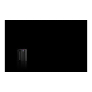 RITTAL Austrittsfilter Blue e+ SK 3238.308 RAL 9005