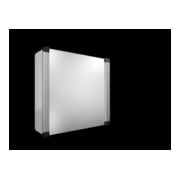 Rittal AX Boîtier de commande 600x600x210 mm 6320.650-1