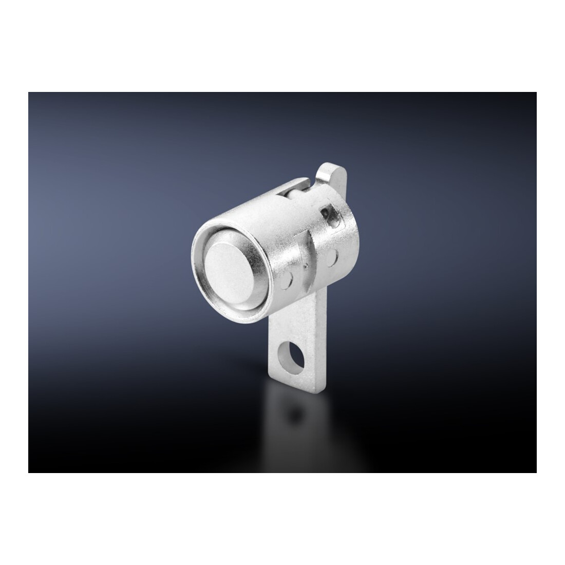 Rittal Bouton-poussoir TS 8611.190