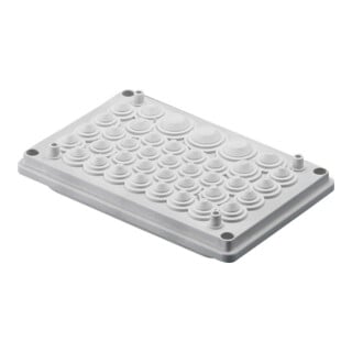 Rittal Bride d’introduction de câble avec membrane d’étanchéité SV 9665.770