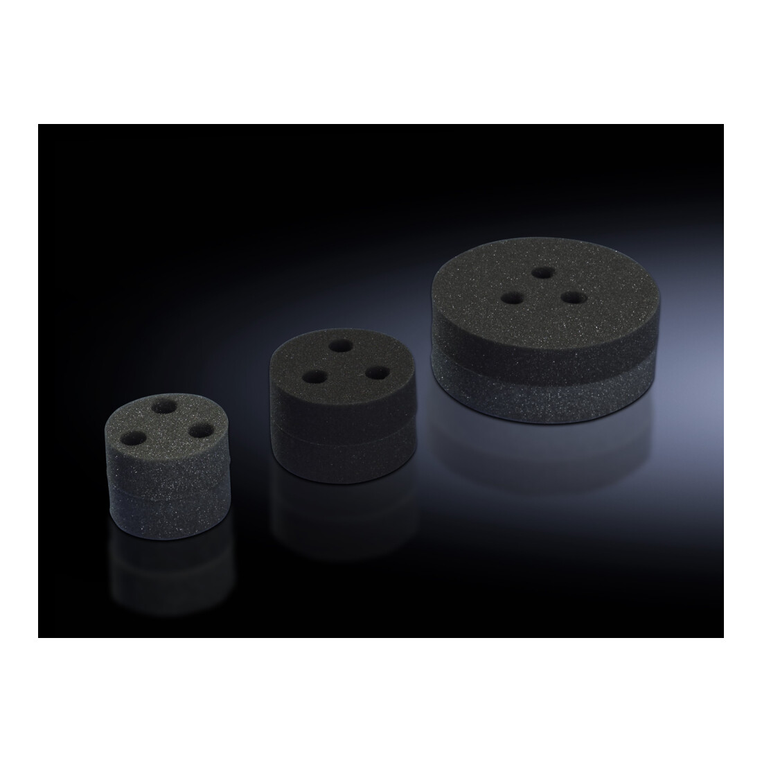 Rittal Capuchon de couverture toit SK3383/84/85 SK 3286.880 (2 pièces)